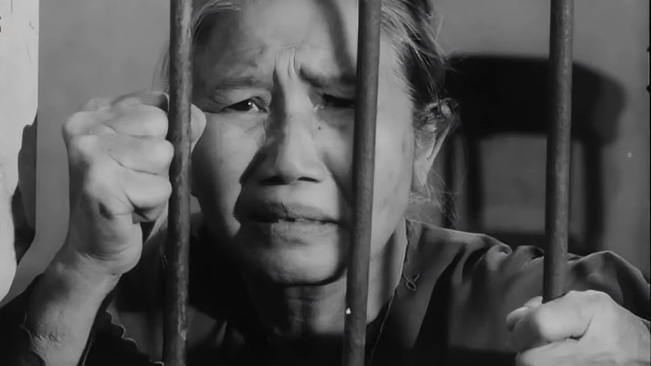 Tướng Về Hưu